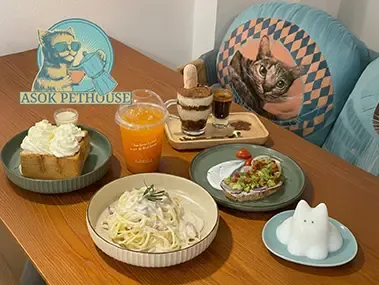 อโศก เพท เฮ้าส์